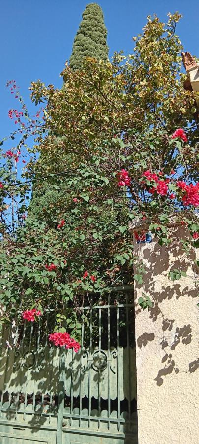 Athenian Asty Guesthouse Exterior photo