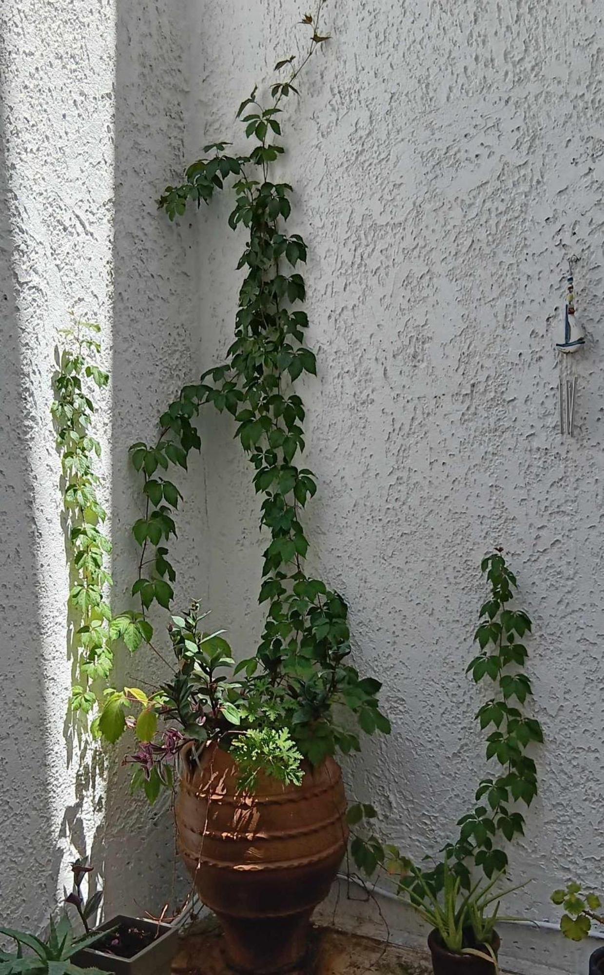 Athenian Asty Guesthouse Exterior photo